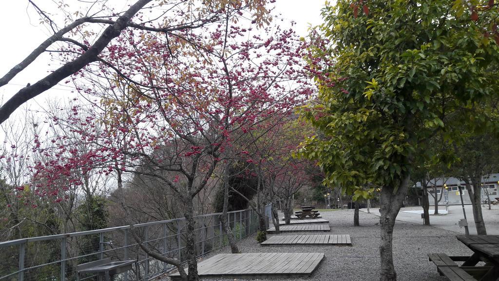 清境小太阳景观木屋 仁爱乡 外观 照片