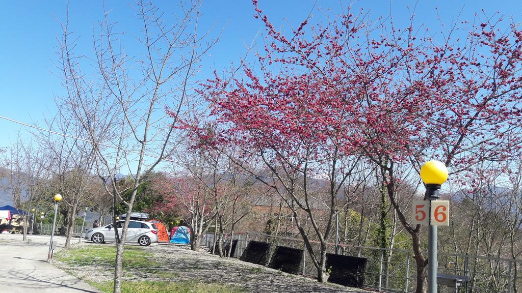 清境小太阳景观木屋 仁爱乡 外观 照片